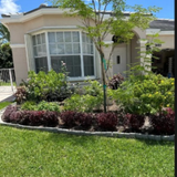 Florida Garden Design.png