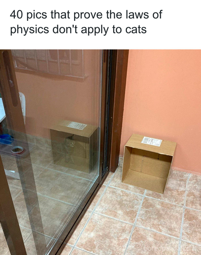 download 2025 11 03T171020.052.png