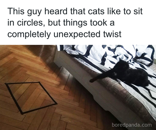 download 2025 11 03T163834.218.png