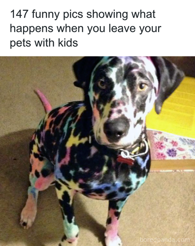 download 2025 11 03T163621.557.png