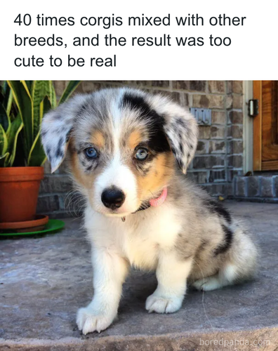 download 2025 11 03T171133.081.png