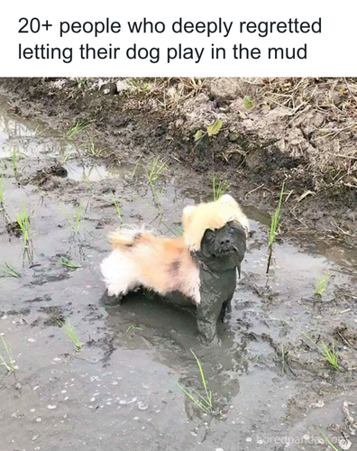 download 2025 11 03T172450.013.png