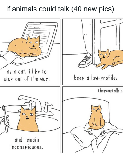 download 2025 11 03T170657.462.png