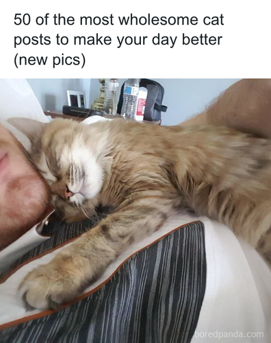 download 2025 11 03T172607.394.png