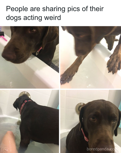 download 2025 11 03T170210.115.png