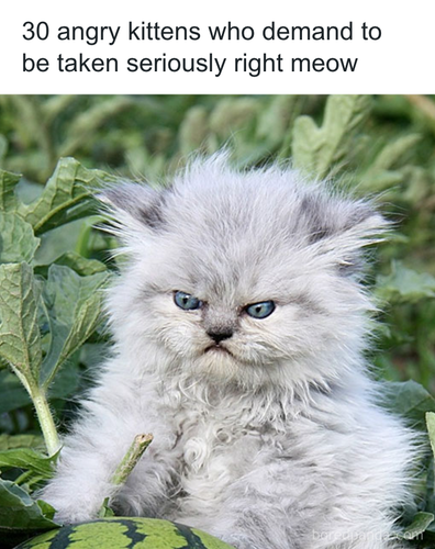 download 2025 11 03T171418.456.png