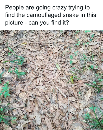 download 2025 11 03T164017.076.png