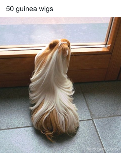 download 2025 11 03T170908.700.png