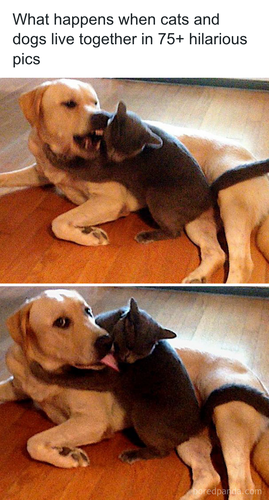 download 2025 11 03T172044.196.png