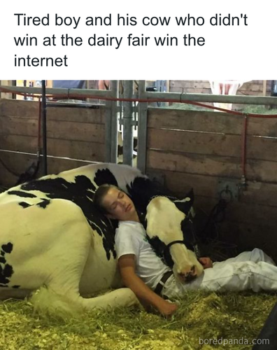 download 2025 11 03T173313.226.png