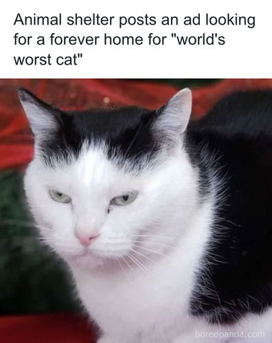 download 2025 11 03T165835.366.png