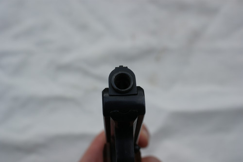 SONY DSC.jpg