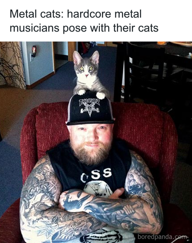 download 2025 11 03T184644.196.png