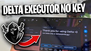 Delta Executor Preview