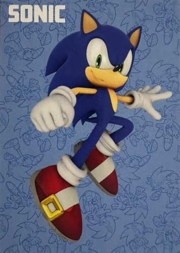 Sonic Card 16.jpg