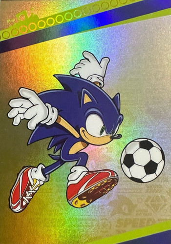 Sonic Card 110.jpg