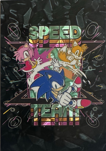 Sonic Card 170.jpg