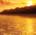 KXgWA2p.gif