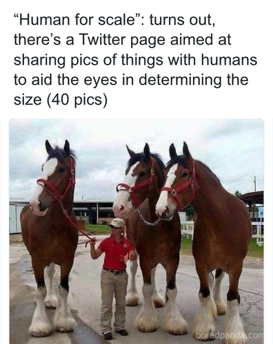 download 2025 11 03T213406.084.png