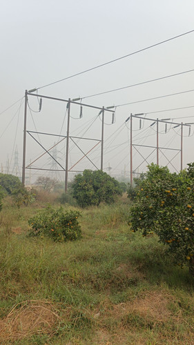 SRD11 JRD4 20251029 092702348 0.jpg