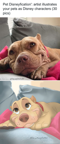 download 2025 11 03T195215.088.png