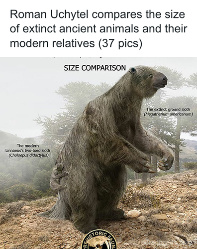 download 2025 11 03T202009.462.png