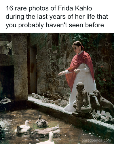 download 2025 11 03T203020.143.png