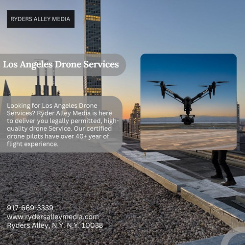 Los Angeles Drone Services.jpg