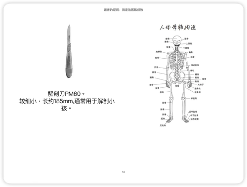 iShot 2025 11 04 14.43.49.png