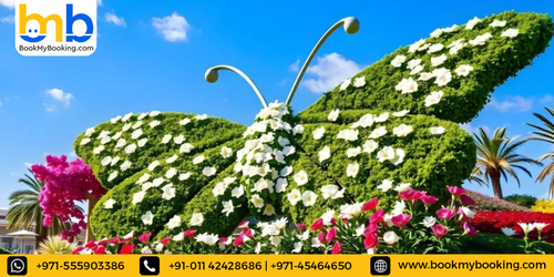 Butterfly Garden Dubai - Book Tickets, Timings & Prices.png