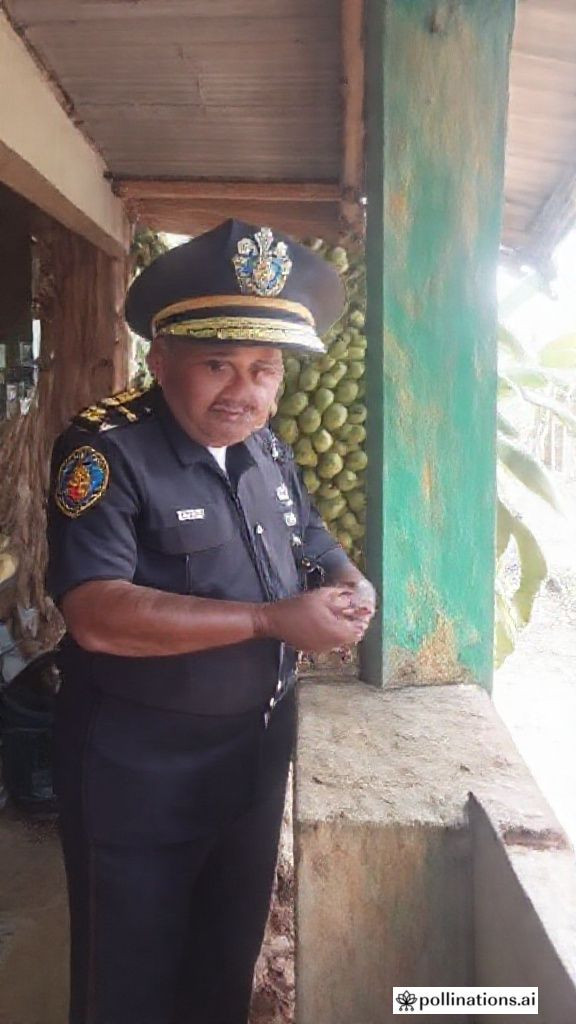 DA chief bares actions versus banana disease