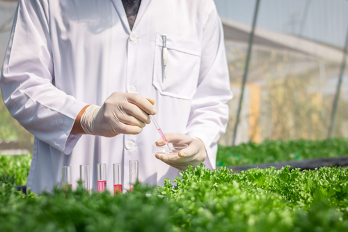 Boost Healthy Growth with BioAg Innovations for Fruit Development.png