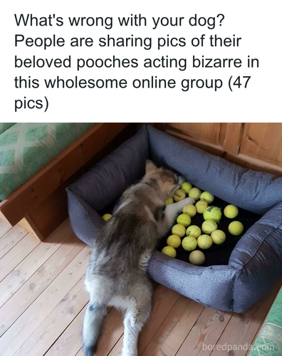 download 2025 11 04T182144.701.png