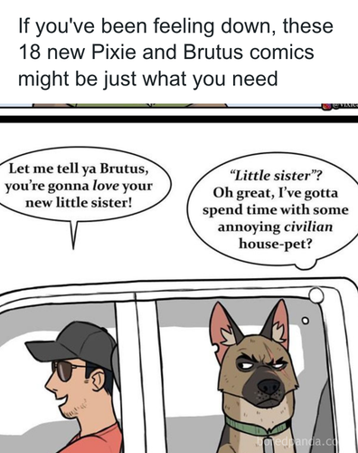 download 2025 11 04T180216.821.png