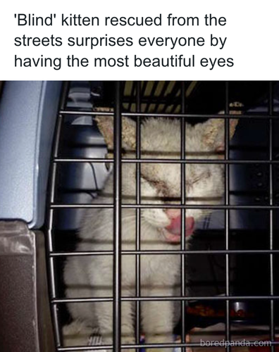 download 2025 11 04T175342.589.png