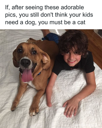 download 2025 11 04T180931.144.png