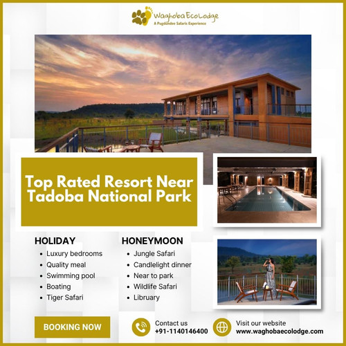 top rated resort near tadoba national park.jpg