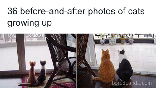 download 2025 11 04T182722.266.png