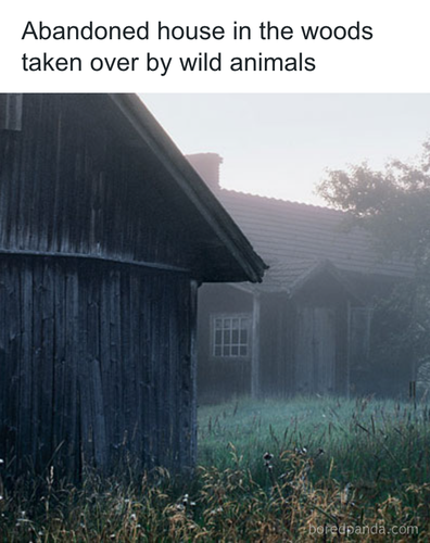 download 2025 11 04T184904.199.png