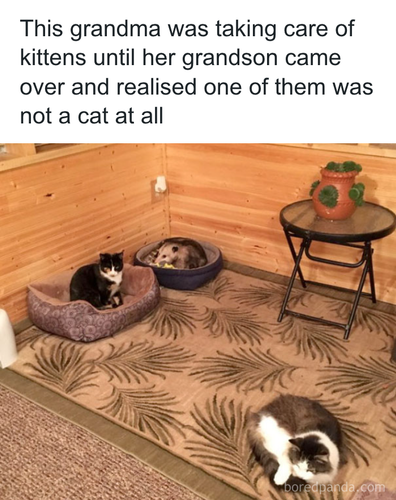 download 2025 11 04T183137.105.png