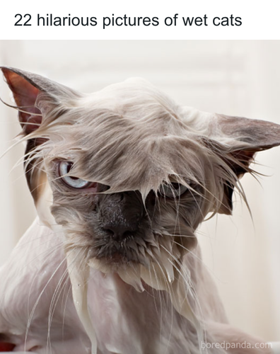 download 2025 11 04T184737.716.png