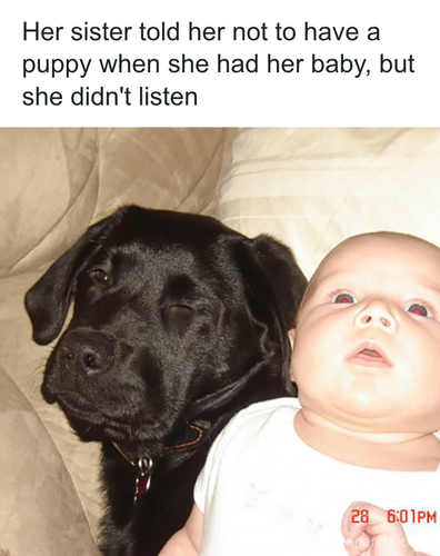 download 2025 11 04T190248.677.png