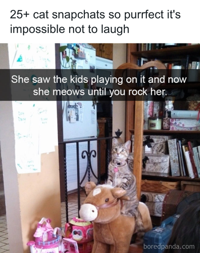 download 2025 11 04T190431.832.png