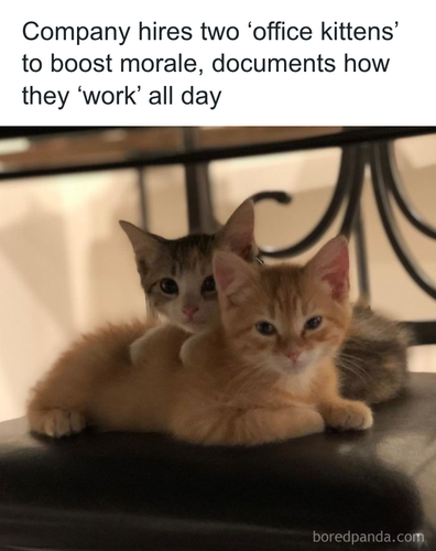 download 2025 11 04T182909.417.png