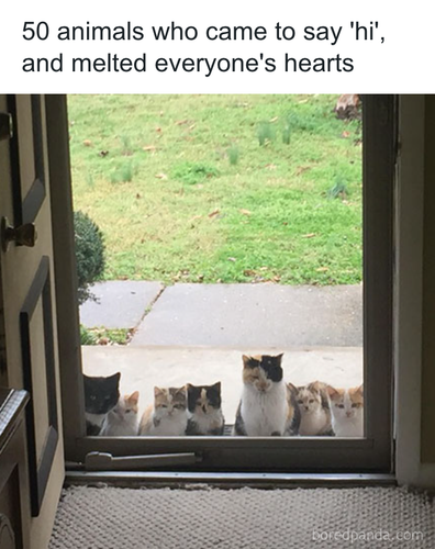 download 2025 11 04T190635.912.png