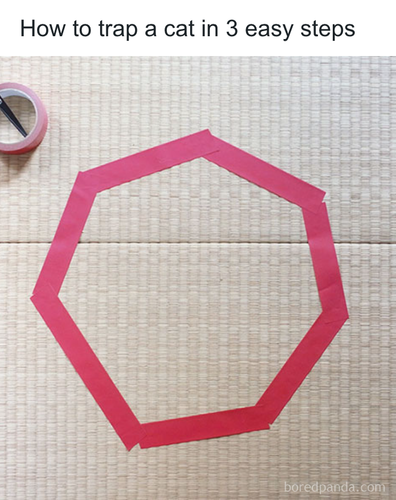 download 2025 11 04T183000.523.png