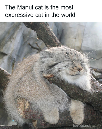 download 2025 11 04T183445.204.png