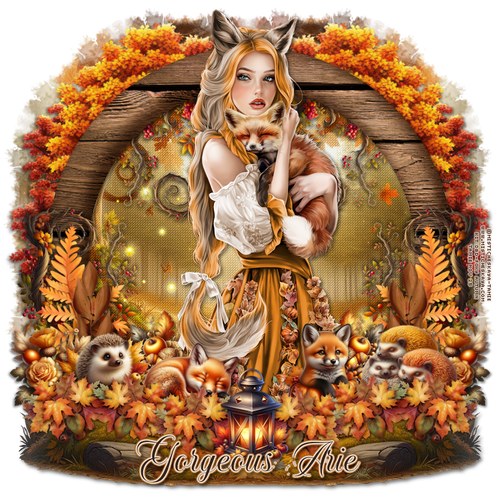 fc21st 4thnov Gorgeous Arie.png