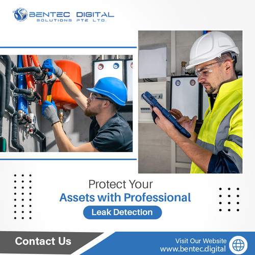 Protect Your Assets with Professional Leak Detection.jpg