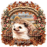 tc21st 4thnov gorgeousarie